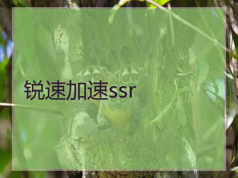 锐速加速ssr