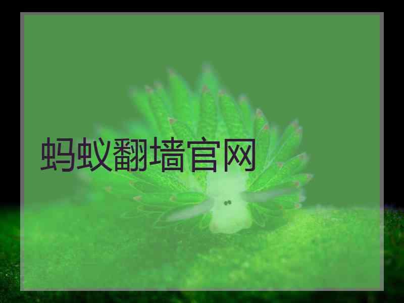 蚂蚁翻墙官网