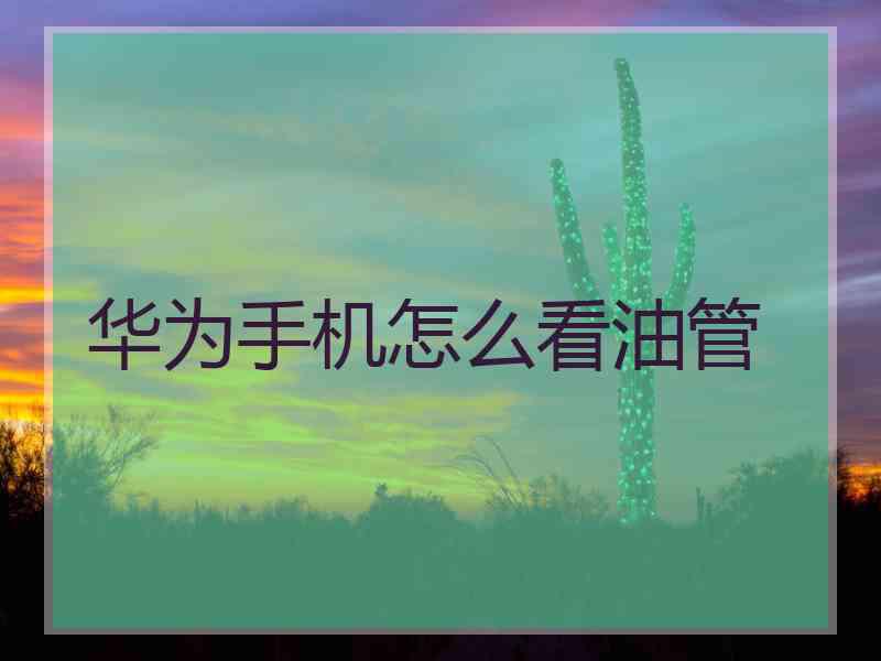 华为手机怎么看油管