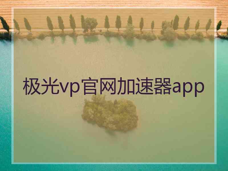极光vp官网加速器app