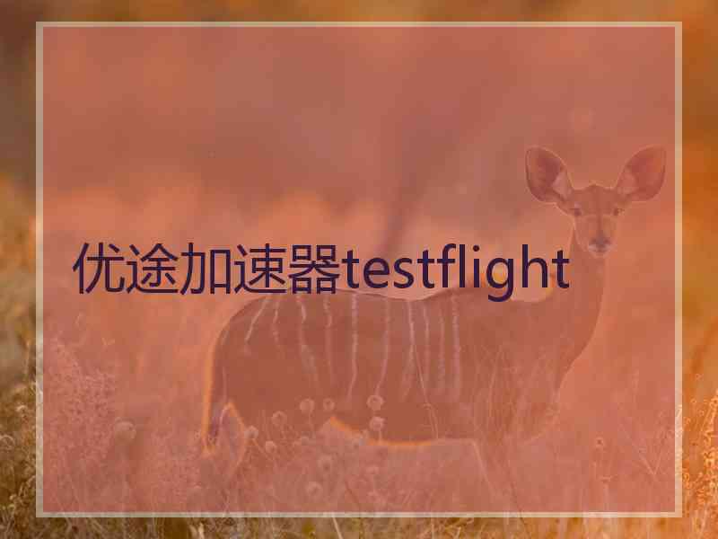 优途加速器testflight