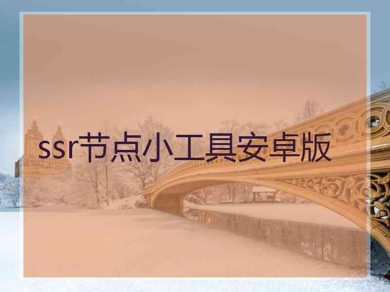 ssr节点小工具安卓版