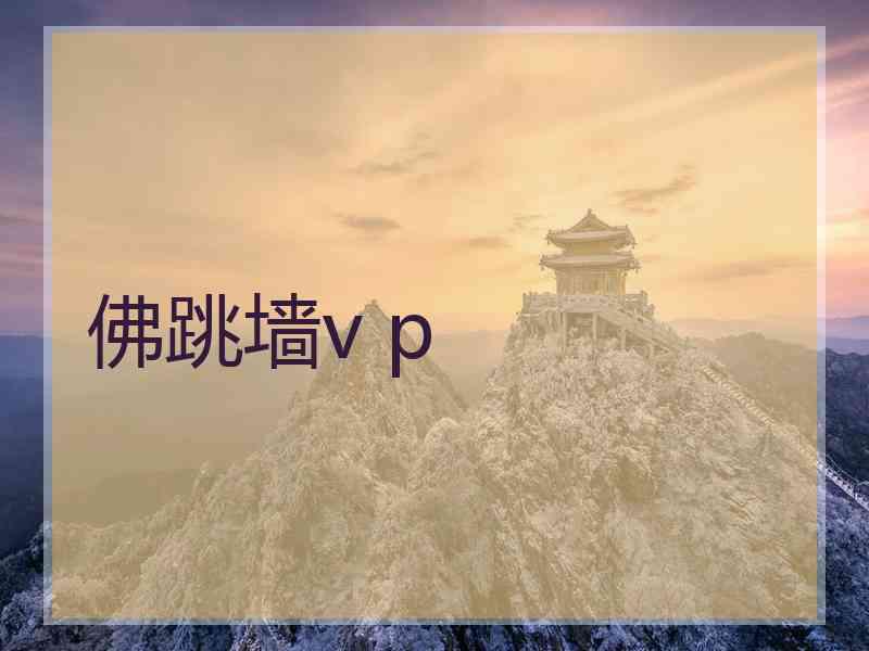 佛跳墙v p