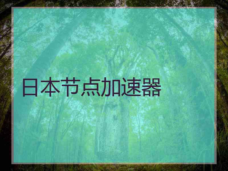 日本节点加速器