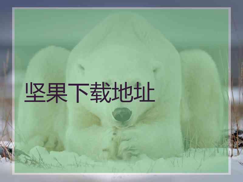 坚果下载地址
