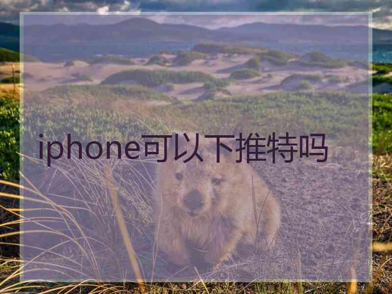 iphone可以下推特吗