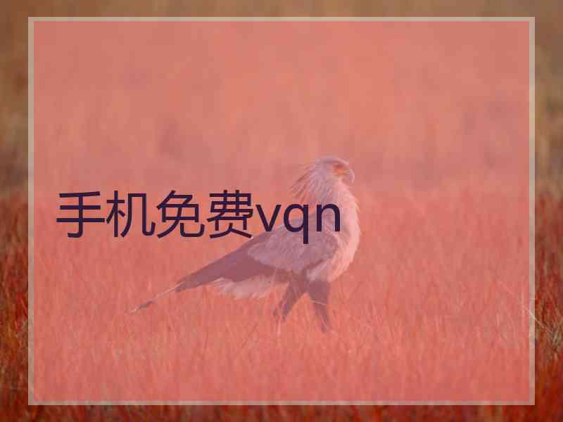 手机免费vqn