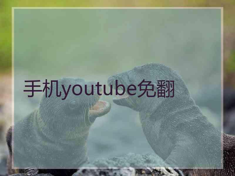 手机youtube免翻