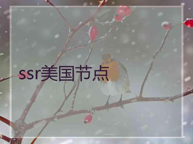 ssr美国节点