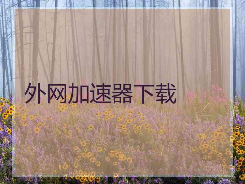 外网加速器下载