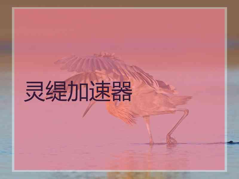 灵缇加速器