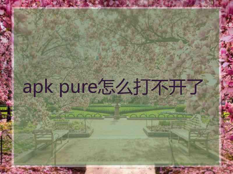 apk pure怎么打不开了