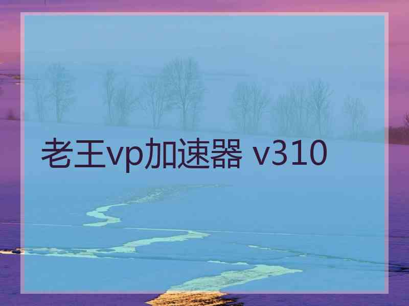 老王vp加速器 v310
