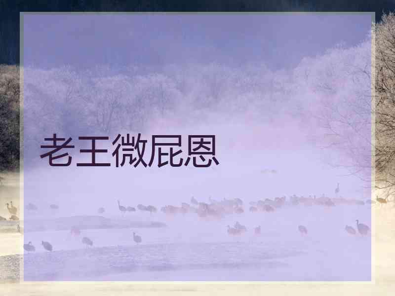 老王微屁恩