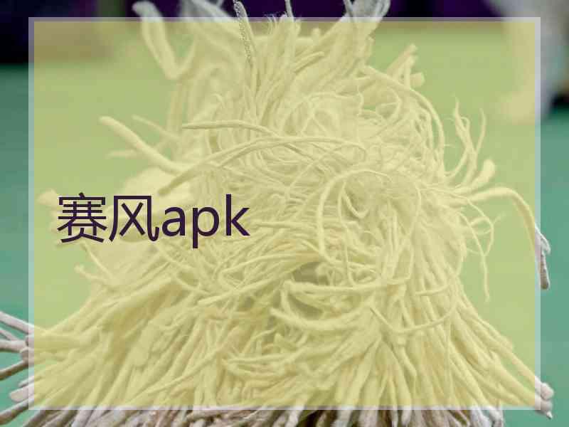 赛风apk