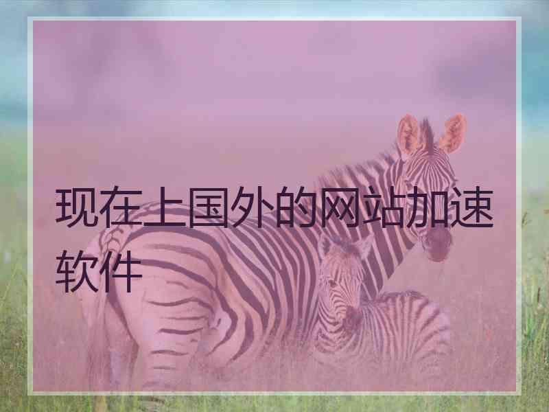 现在上国外的网站加速软件