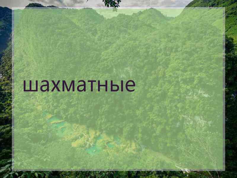 шахматные