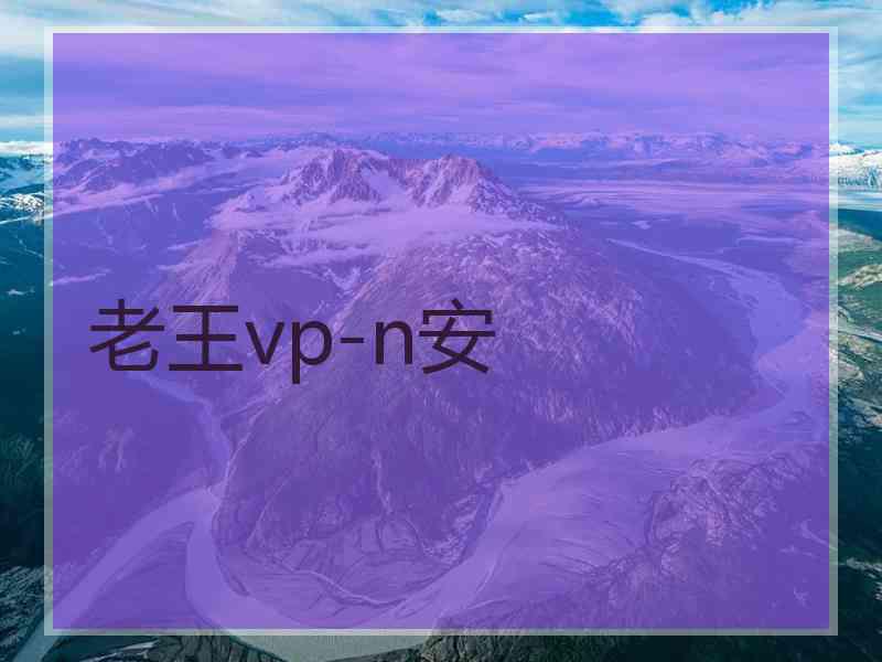 老王vp-n安