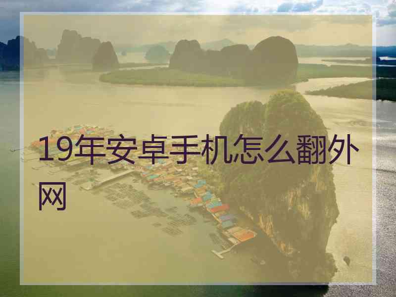 19年安卓手机怎么翻外网