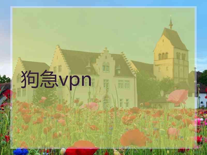 狗急vpn