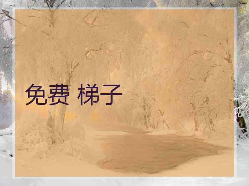 免费 梯子