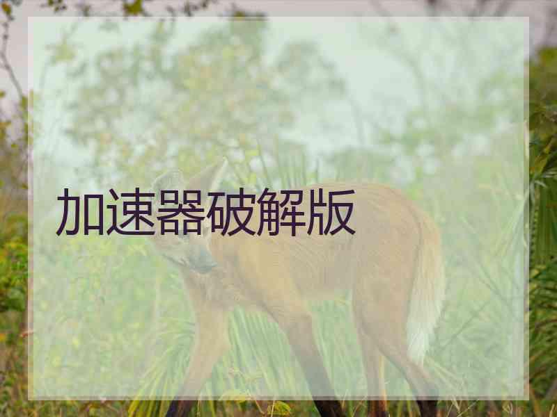 加速器破解版