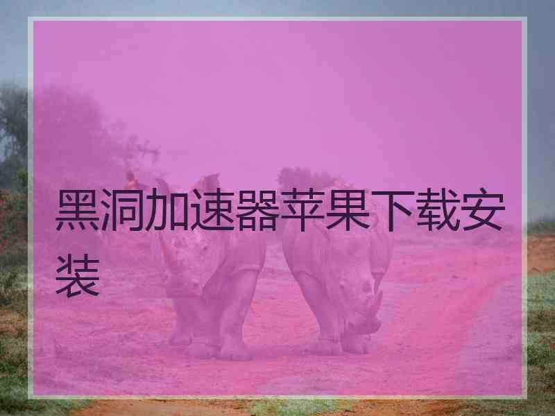 黑洞加速器苹果下载安装