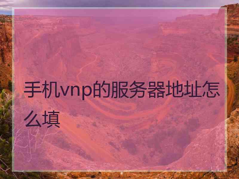 手机vnp的服务器地址怎么填
