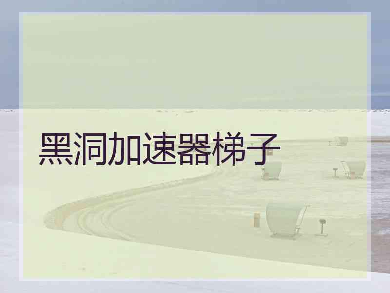 黑洞加速器梯子