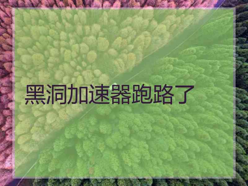 黑洞加速器跑路了