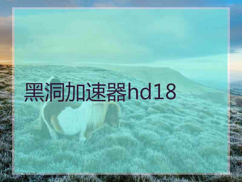 黑洞加速器hd18