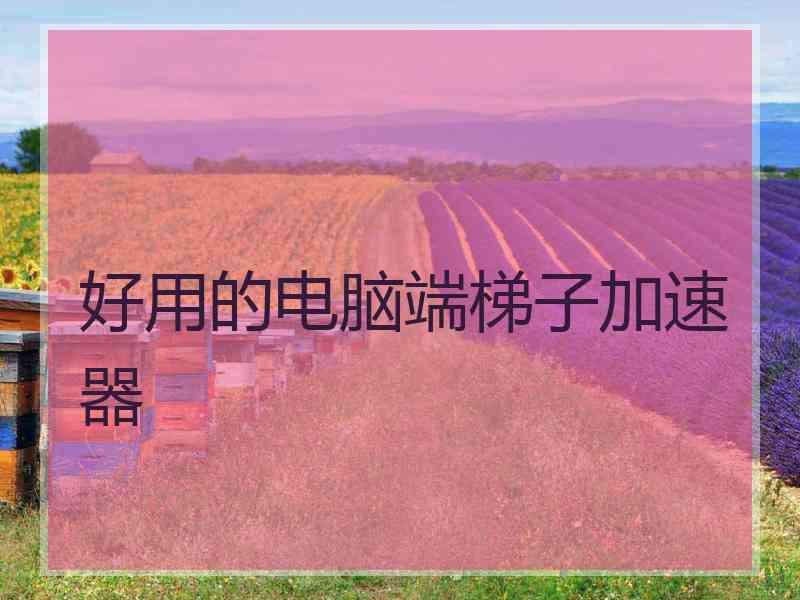 好用的电脑端梯子加速器