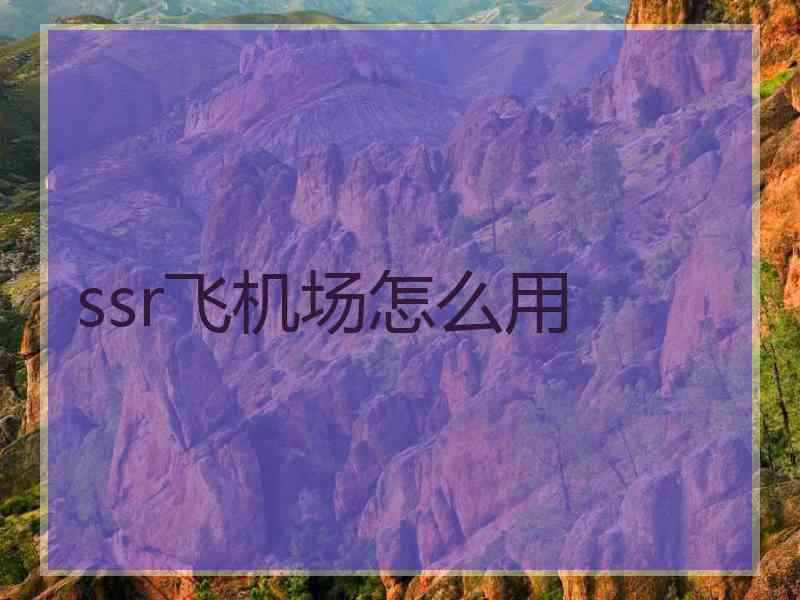 ssr飞机场怎么用