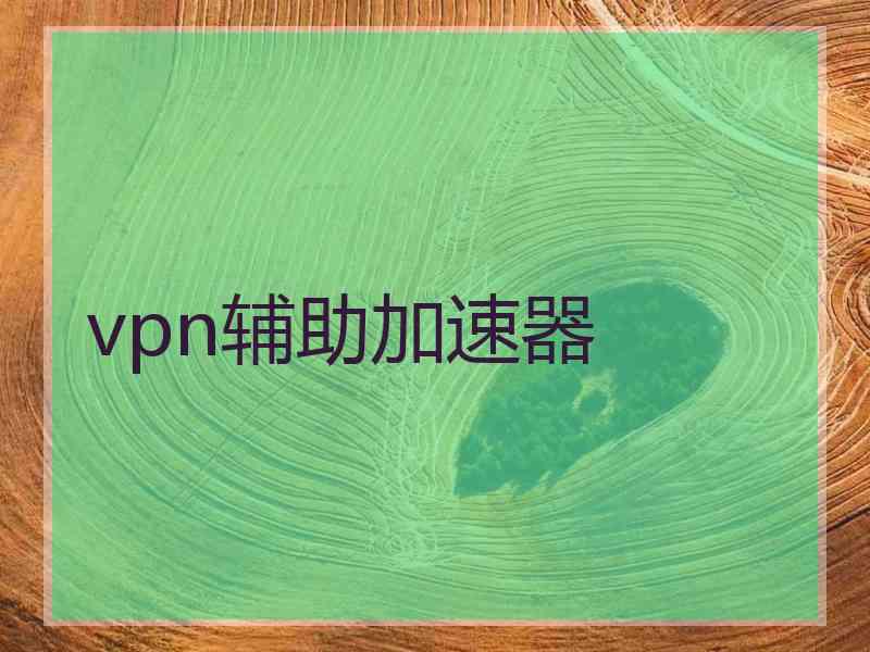 vpn辅助加速器
