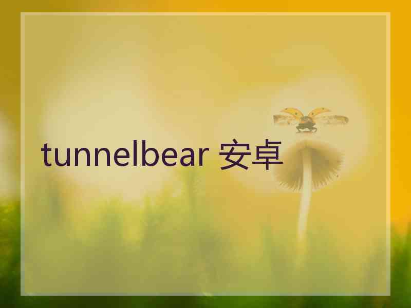 tunnelbear 安卓
