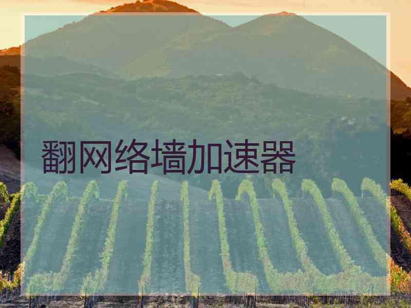 翻网络墙加速器