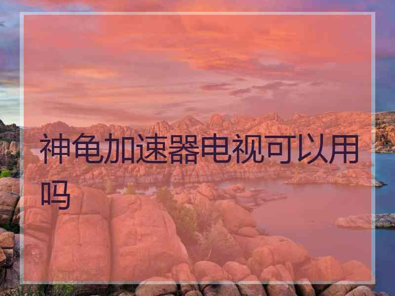 神龟加速器电视可以用吗