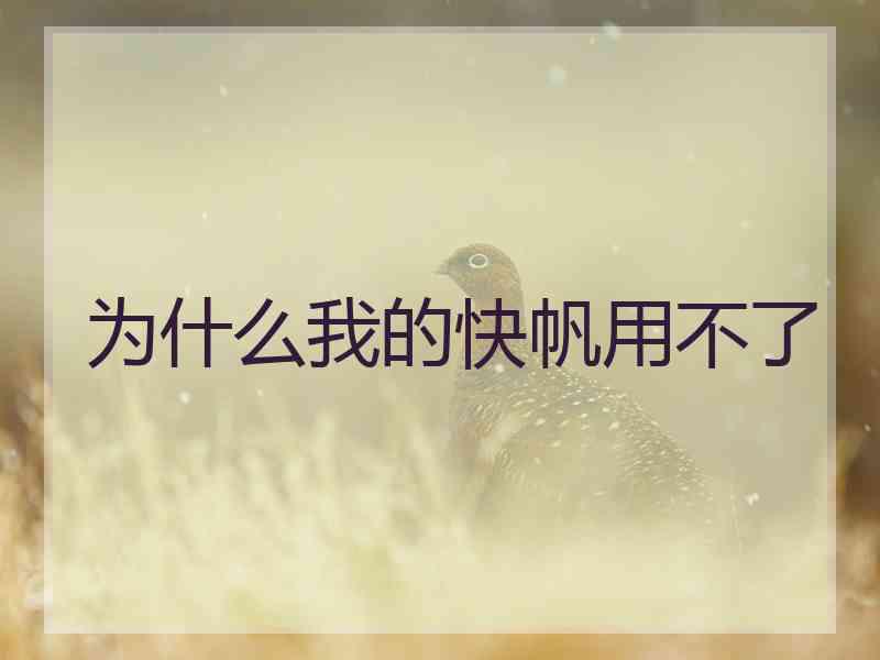 为什么我的快帆用不了