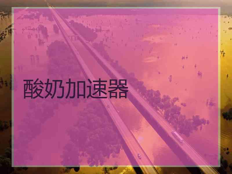 酸奶加速器
