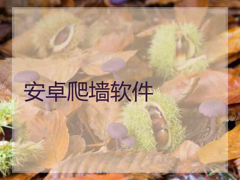 安卓爬墙软件