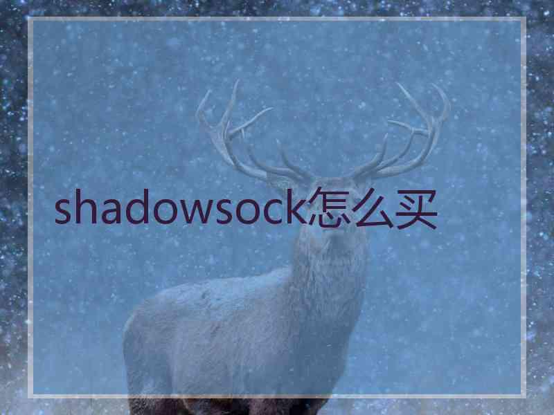 shadowsock怎么买