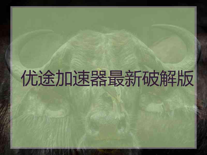 优途加速器最新破解版