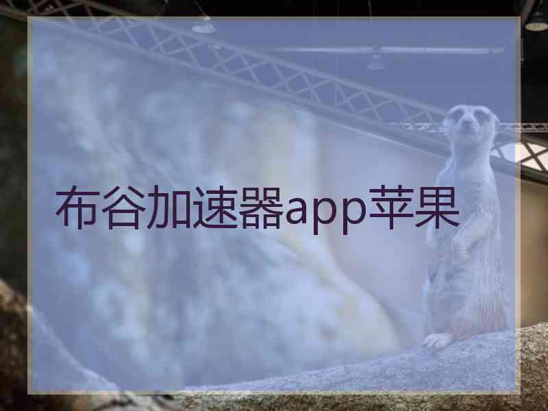 布谷加速器app苹果