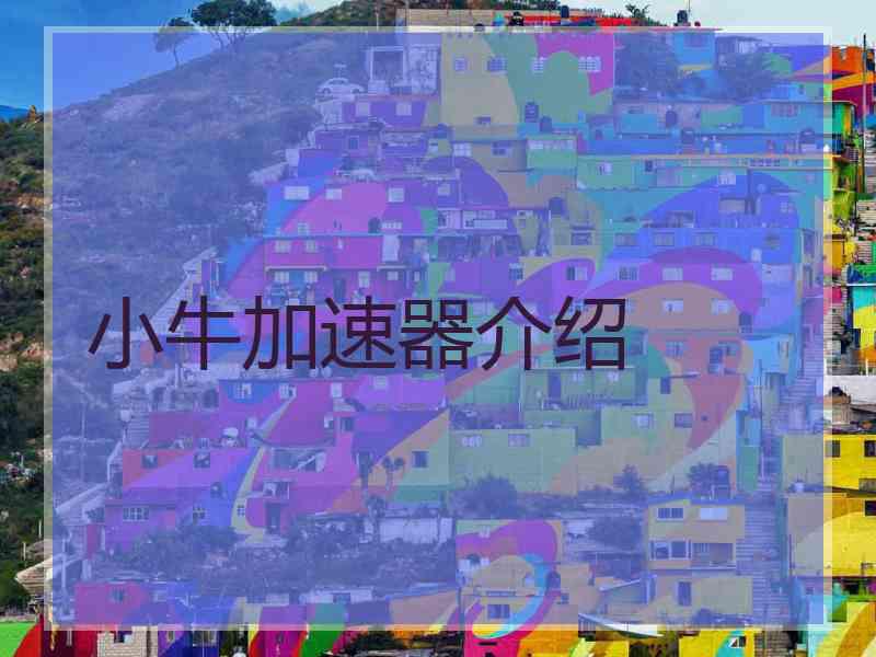 小牛加速器介绍