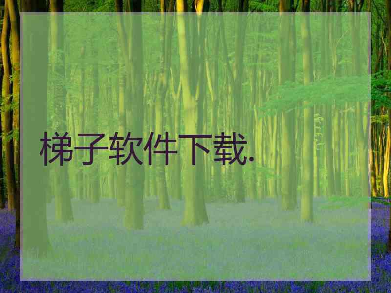 梯子软件下载.