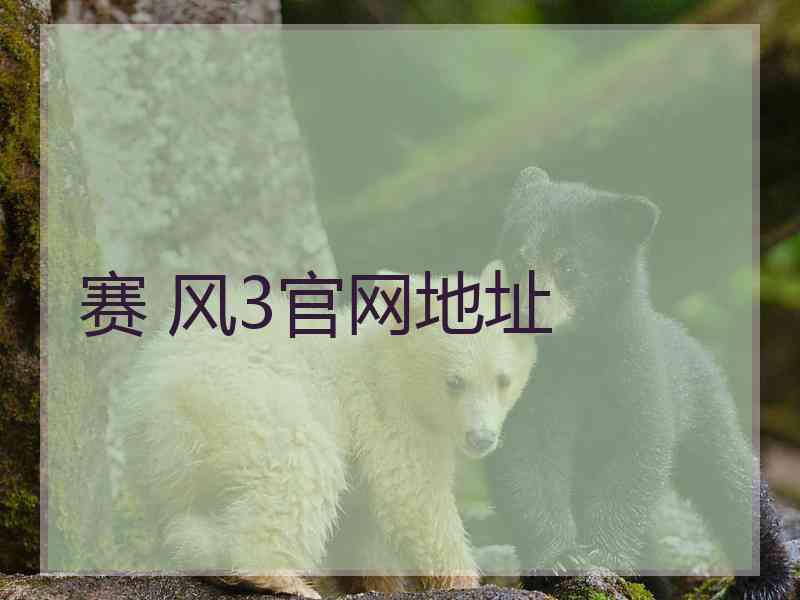 赛 风3官网地址