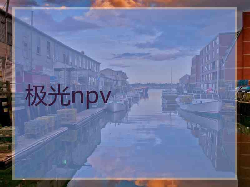 极光npv