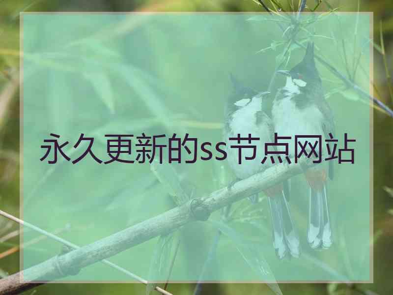永久更新的ss节点网站