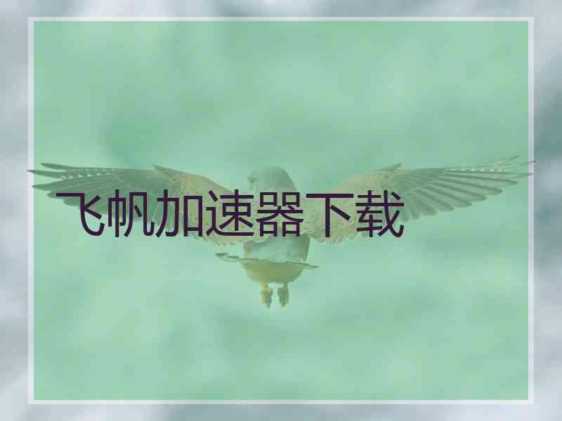 飞帆加速器下载