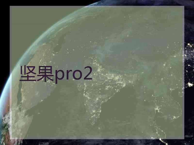 坚果pro2